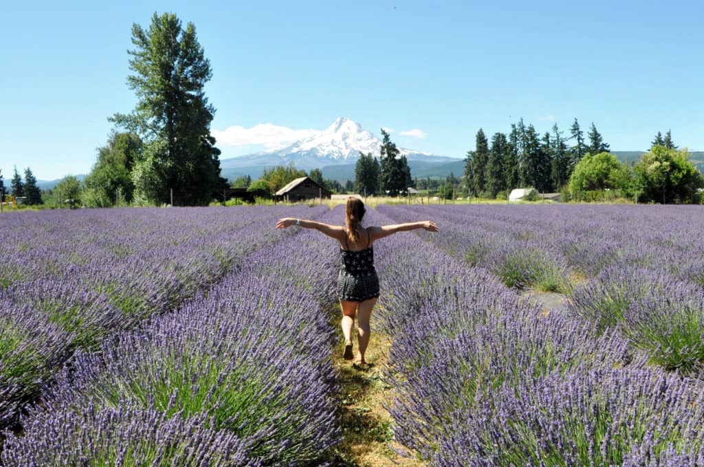 Katie in a field of lavender